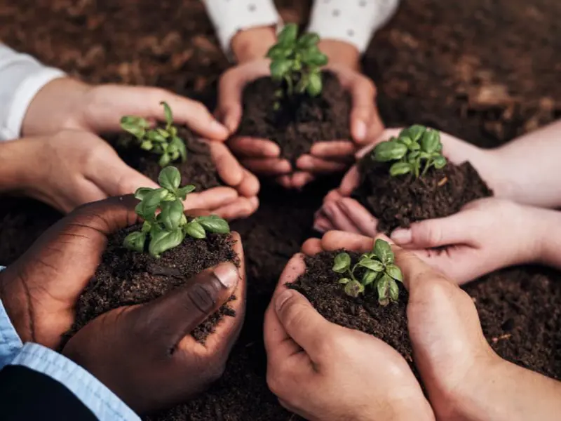 Galant_nieuwsbrief (97).jpg