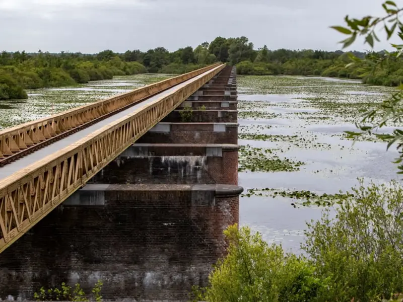 boswachterspad-bruggenroute-moerputten-brug.jpg