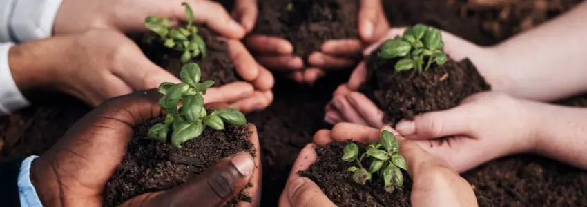 Galant_nieuwsbrief (97).jpg