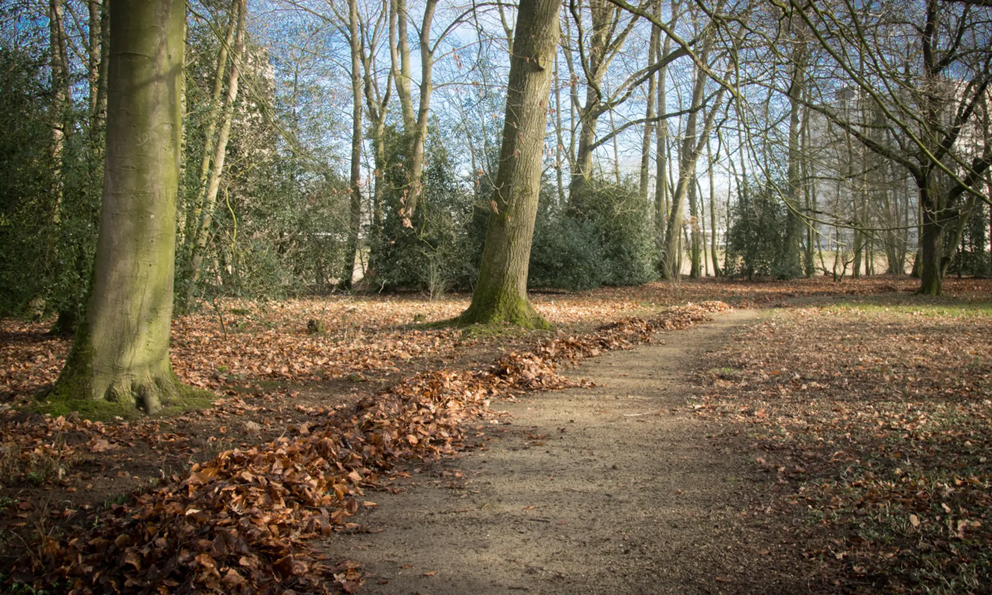 Heempark2