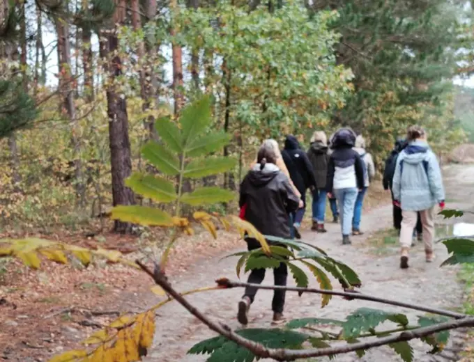 Stiltewandeling.jpeg