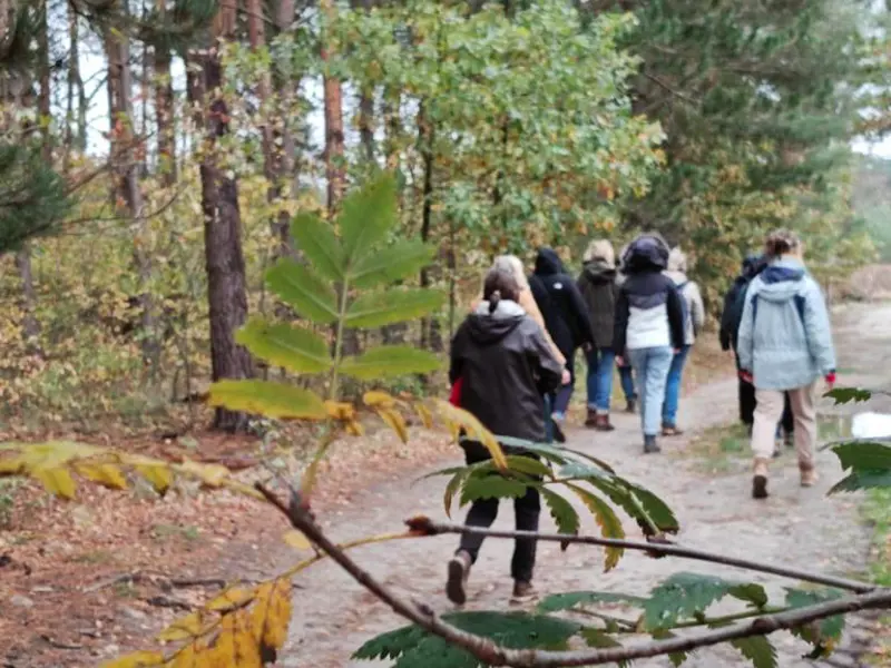 Stiltewandeling.jpeg
